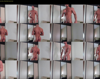 _adam19