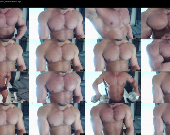 flex_x_x