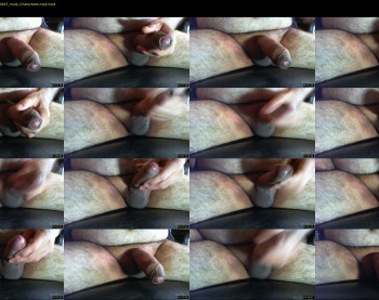 joeblow3100
