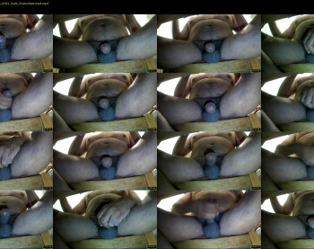 tomdickharry3