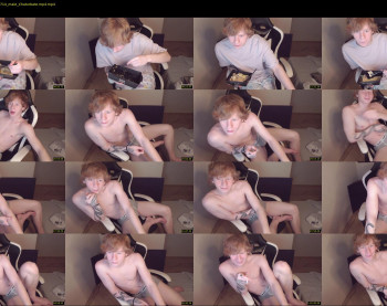 alvin__main