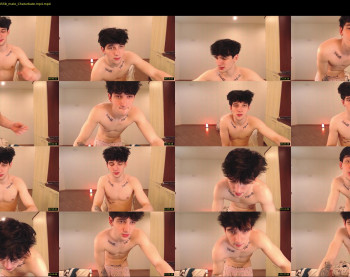 teddy_mode