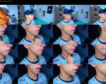 ash_v