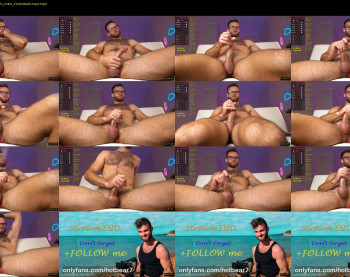 hot_bear_