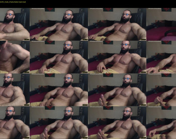 muscle0max