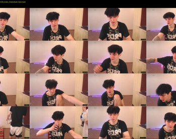 teddy_mode