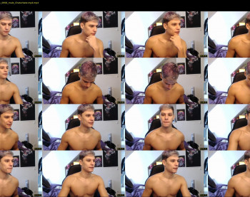 misterydragon