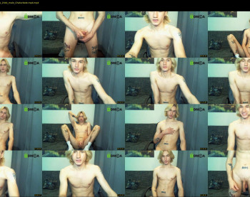 rexxx_erection