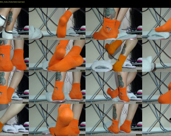 socksysocks