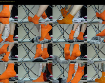 socksysocks