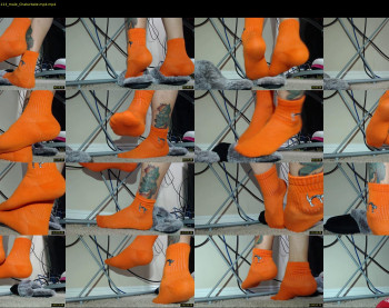 socksysocks