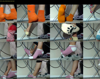 socksysocks