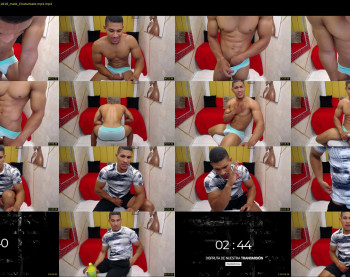 teddyfit19cm