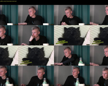 vantablackcat