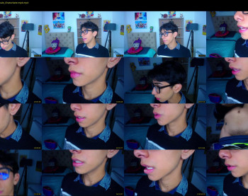 ash_v