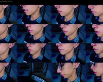 ash_v