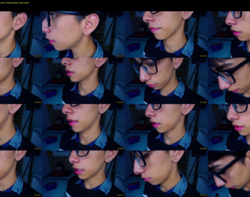 ash_v