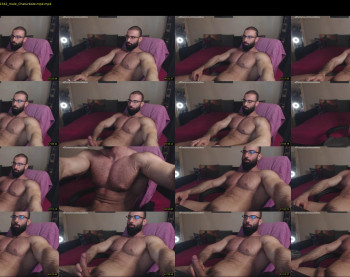 muscle0max