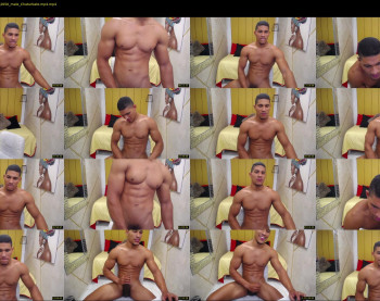 teddyfit19cm