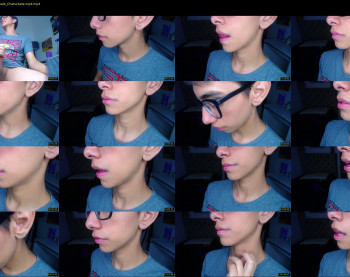 ash_v