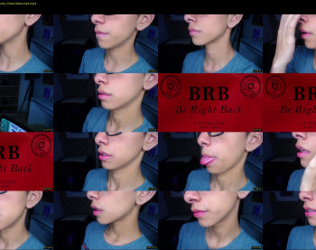 ash_v