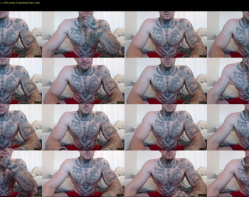 thebestmuscles