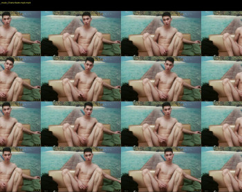 levi_star