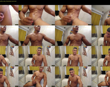 teddyfit19cm