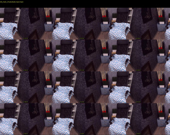vince_dice