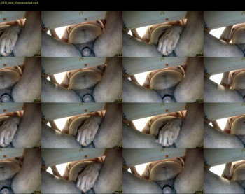 tomdickharry3