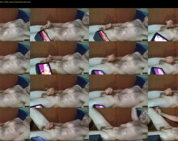 beaumontthedog1