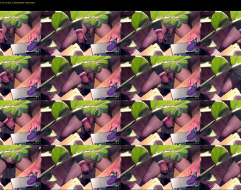 didipuche69
