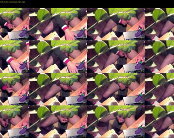 didipuche69