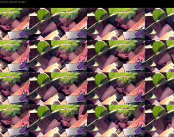 didipuche69