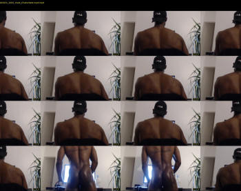 hocctheblackmamba