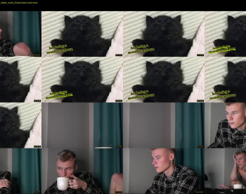 vantablackcat