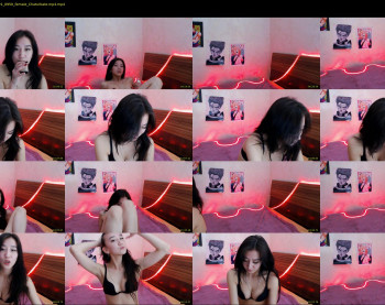 meowed_dance
