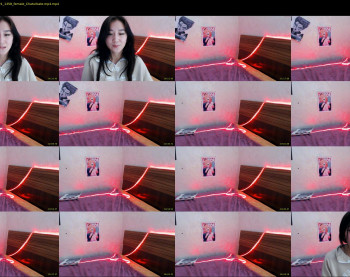 meowed_dance