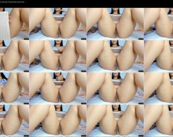 roxy_swt_