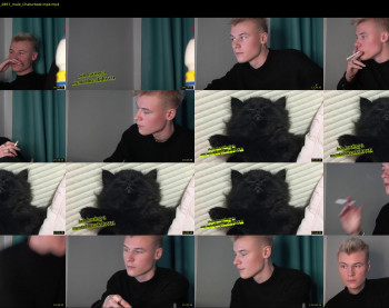 vantablackcat