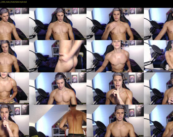 misterydragon