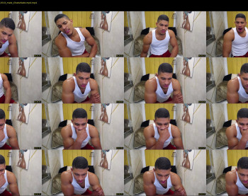 teddyfit19cm