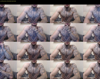 thebestmuscles