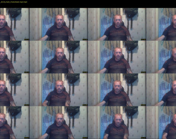 xxx_pitbul_xxx