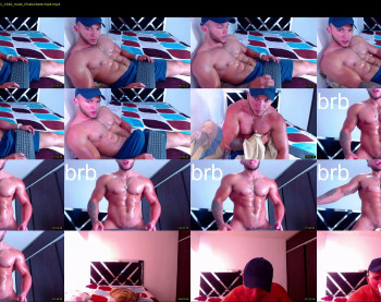 andrew_holden