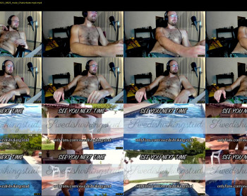 swedishvikingstud