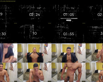 teddyfit19cm