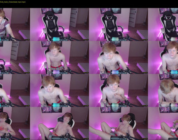 alvin__main