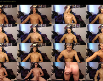 misterydragon