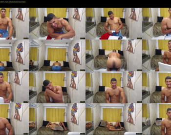 teddyfit19cm